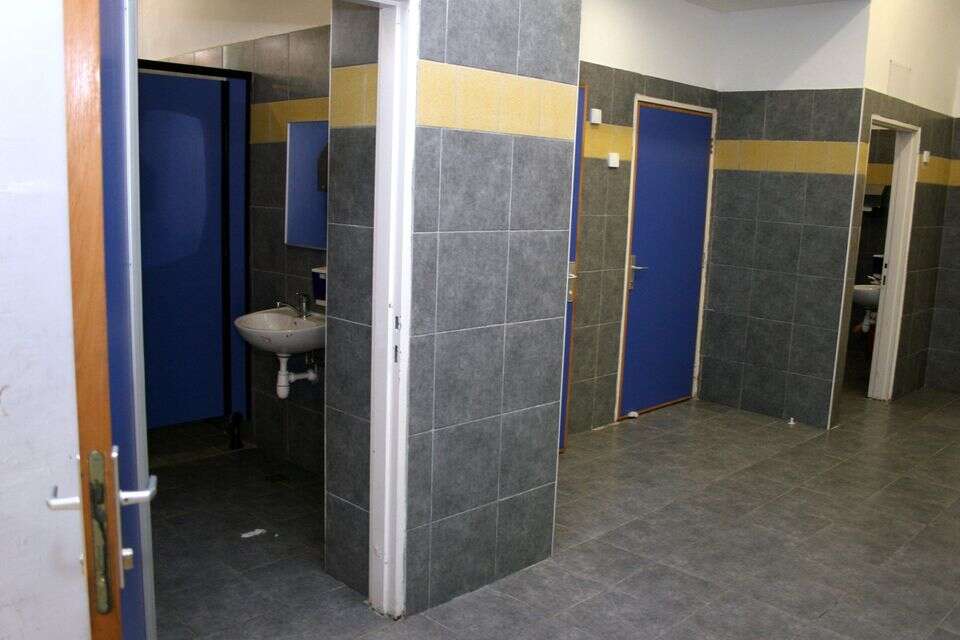 שירותים בבית ספר (אילוסטרציה) , עמי שומן