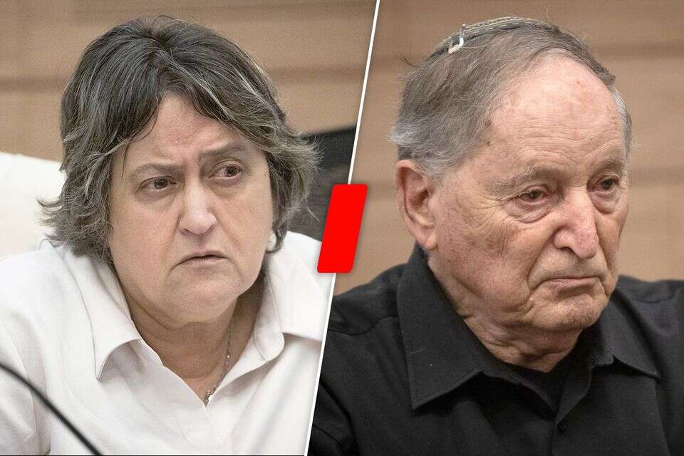 רן ארז ויפה בן דוד , אורן בן חקון