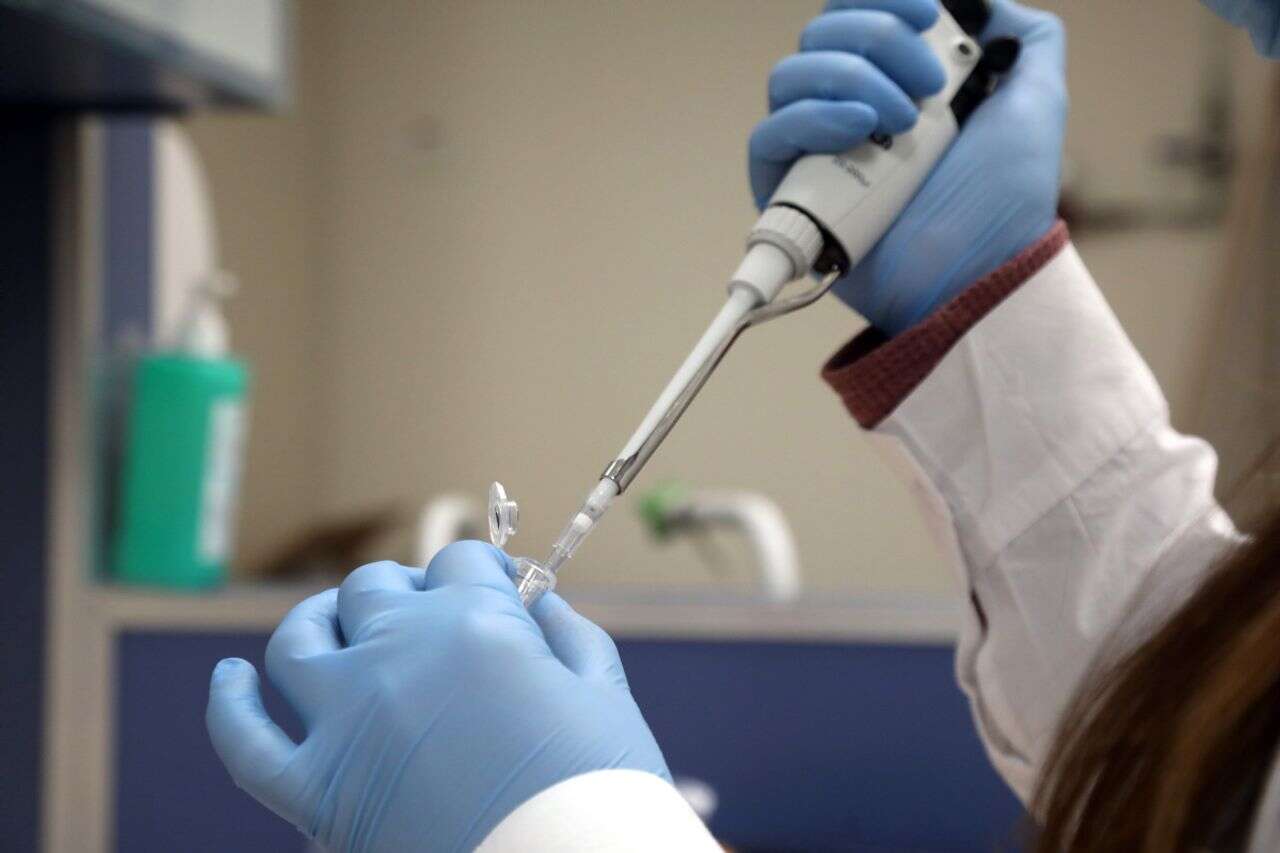 "Reduced the risk by 26%": the new drug for stroke that is stirring up the world of medicine
