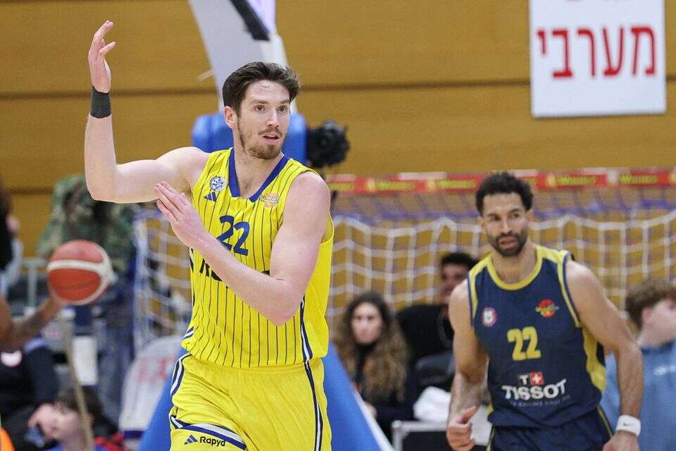 טי ג'יי ליף , אלן שיבר