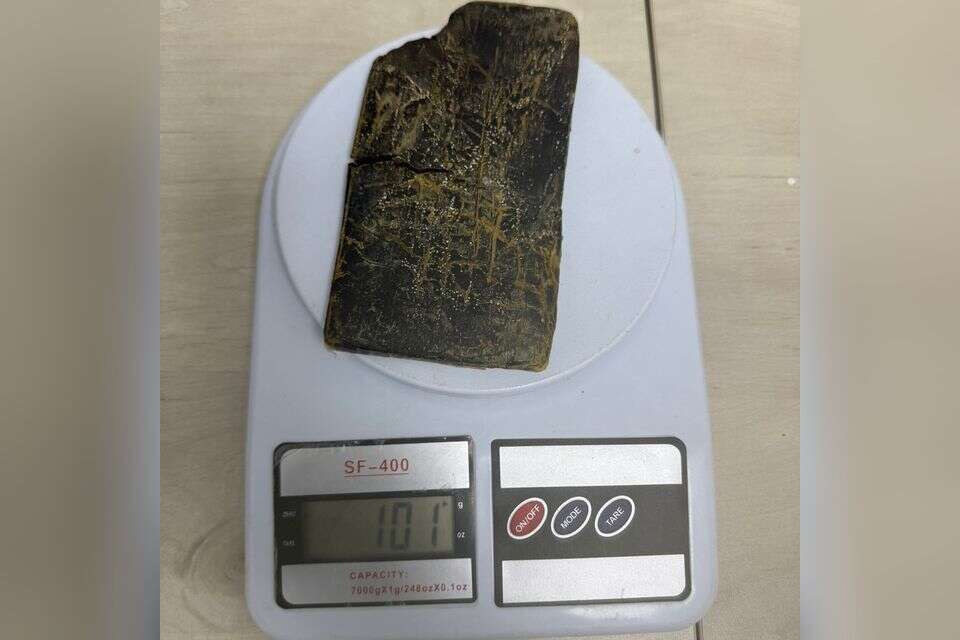 פלטת החשיש שנתפסה , משטרת ישראל