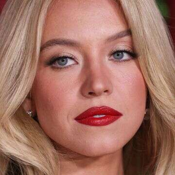 ההסתבכות החדשה של סידני סוויני: "השגת גבול"