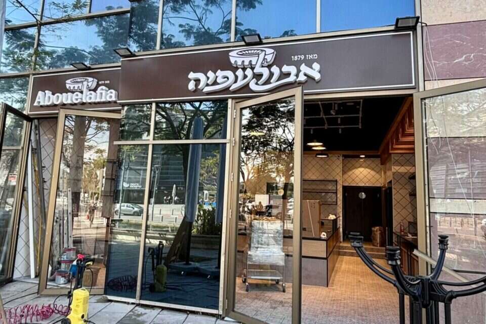 סניף חדש לאבולעפיה , ניר סלונים