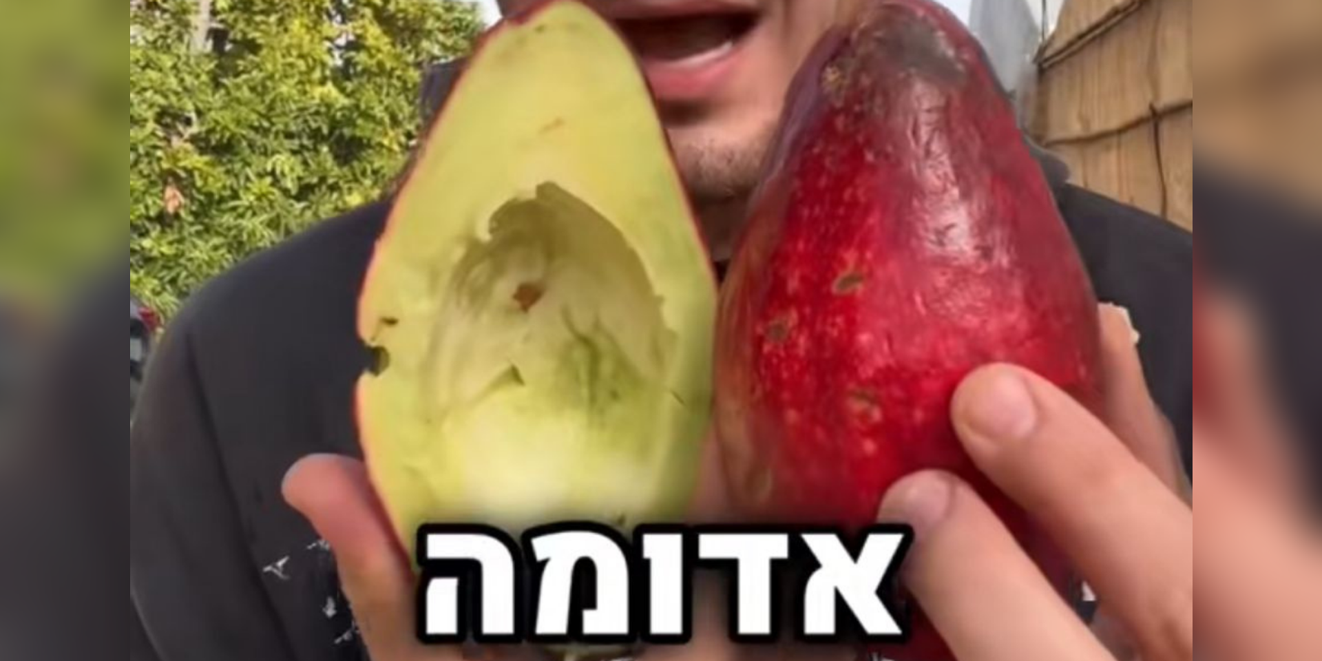 אבוקדו אדום. הטרנד הבא? , מתוך הטיקטוק של אביתר עוזרי