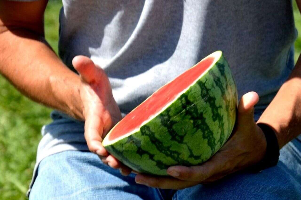 Enough to throw away! You won't believe what can be made from the rind of the watermelon