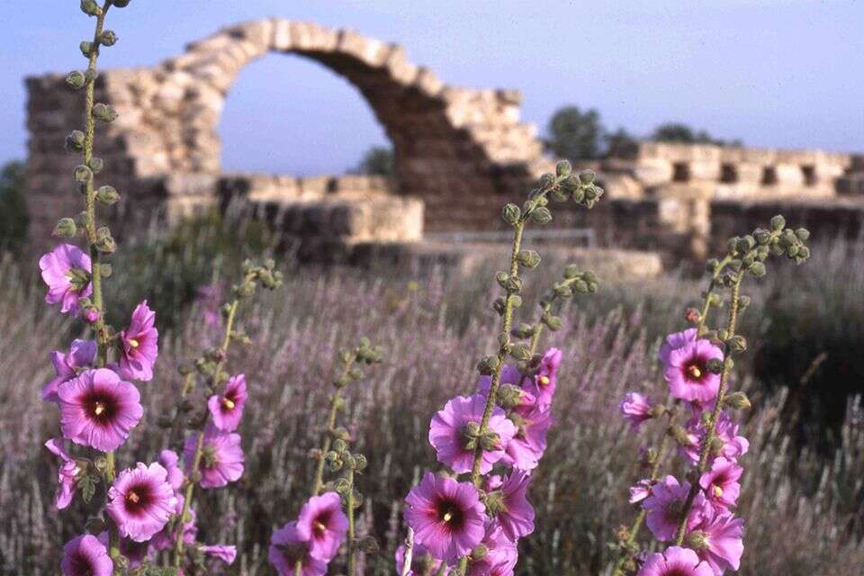 טיול עם גיבורי 7 באוקטובר: "מרגיש חי"