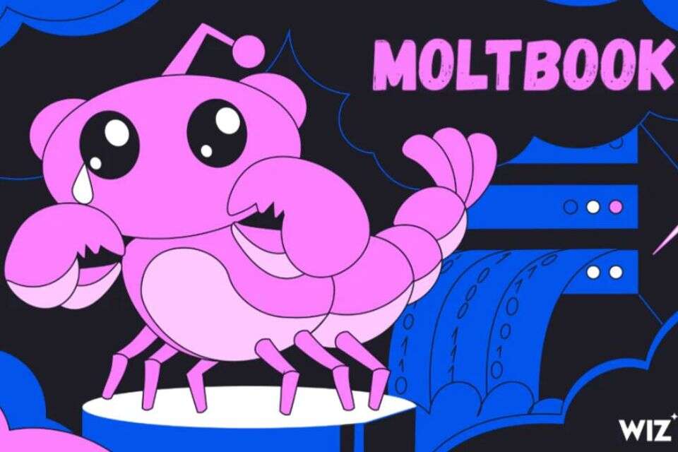 צוות המחקר של Wiz חשף חולשת אבטחה ב-moltboook , Wiz