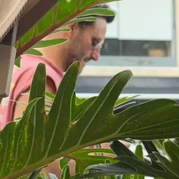 עם מי יצא גלעד שלמור לדייט?