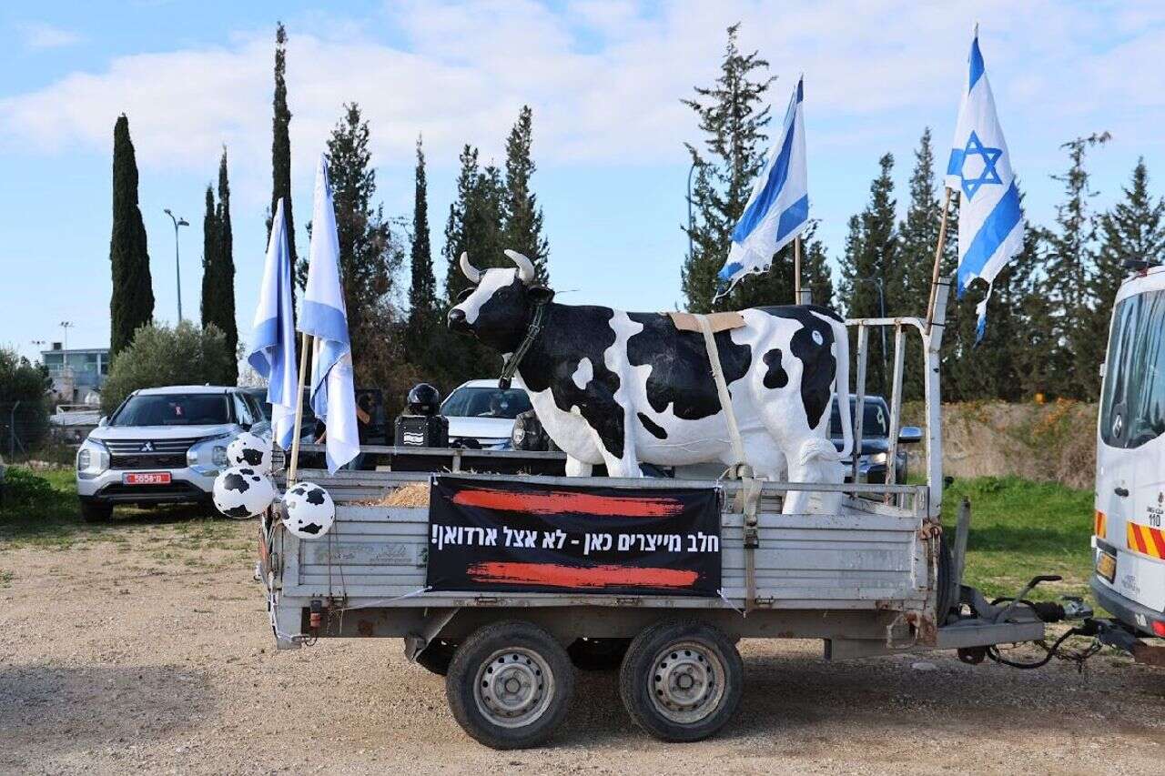 Marathon debates in the Knesset in preparation for a vote: the reform of the dairy industry is nearing a decision