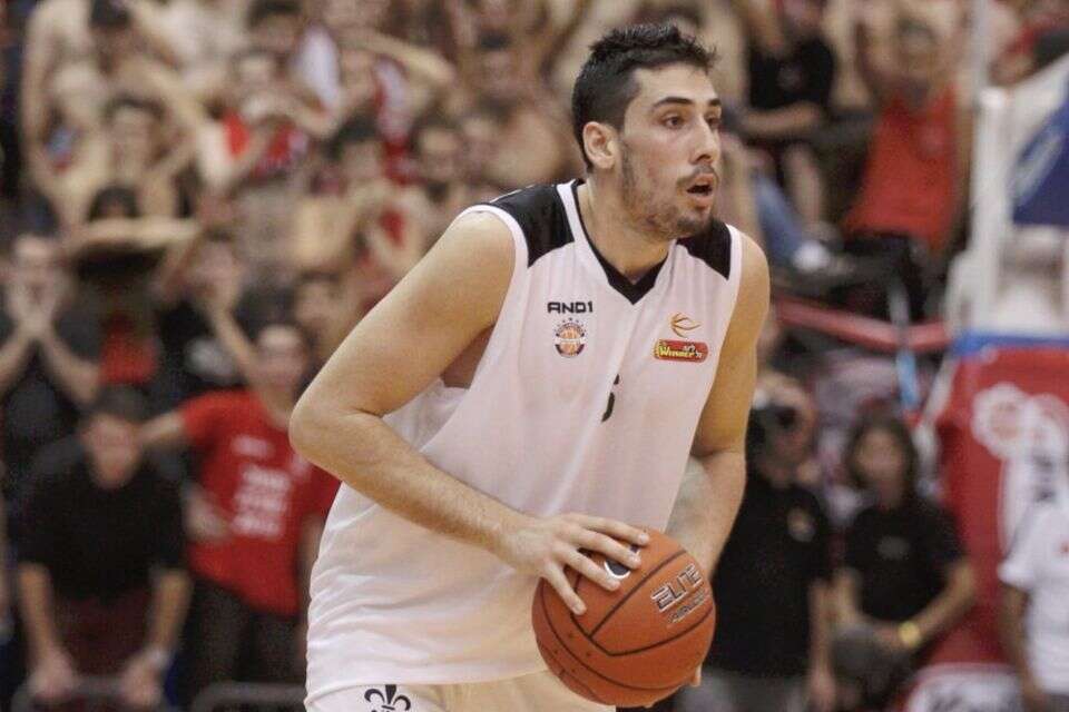 בן רייס , אלן שיבר