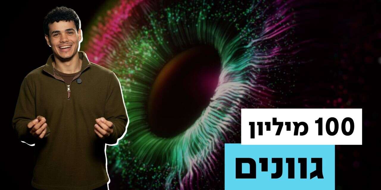 בודדות בהיסטוריה תועדו בוודאות כבעלות טטרכרומטיה פעילה. , עדי לוי