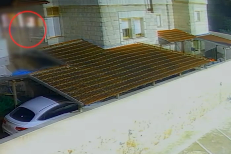 תיעוד: הרופא רצח את אחיו בירי מטווח קצר, נמלט והסתיר את האקדח בכביסה