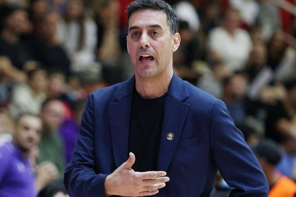 יואב שמיר , אלן שיבר