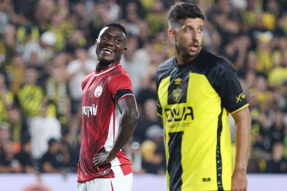 דור מיכה וקינגס קאנגווה , אלן שיבר