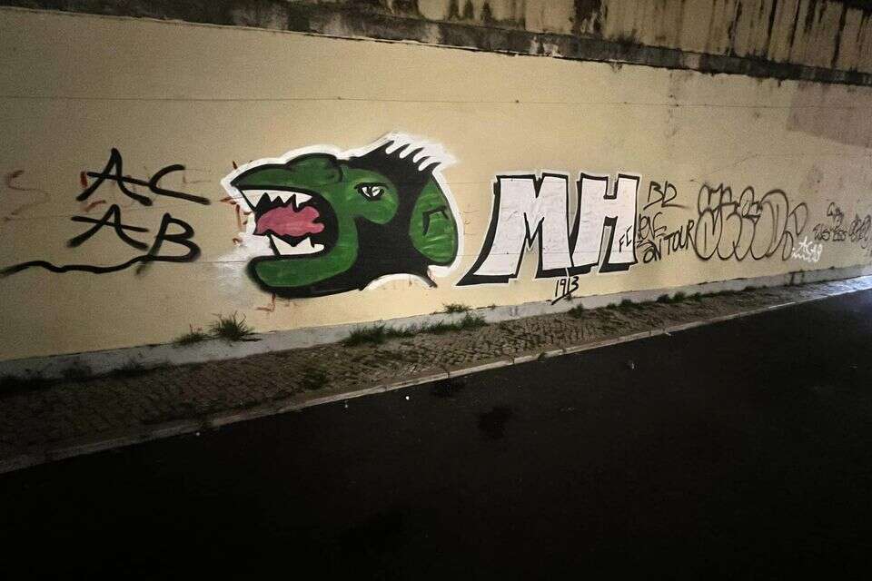 The 15-year-old boy who was shot in Yavne: a Maccabi Haifa fan who sprayed graffiti