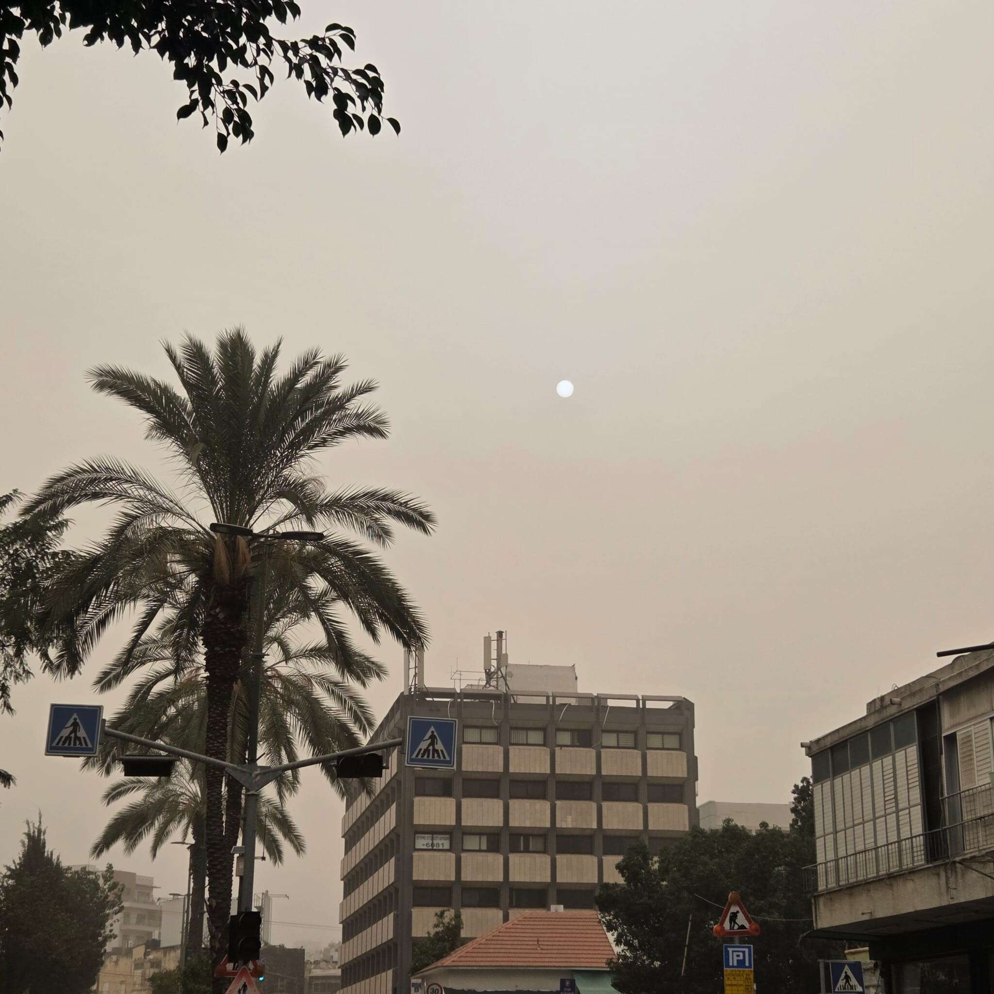  שרב בפברואר. אובך בתל אביב צילום: ארז לין