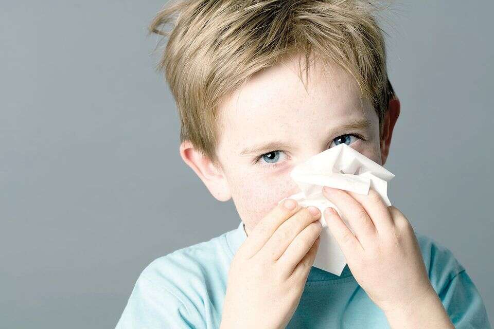 Parents, take note: the study that discovered what really causes allergies in children