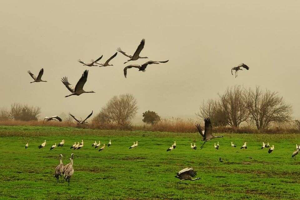 מאתגרים את עצמם - בשביל הנקבות: החלה נדידת החסידות | צפו