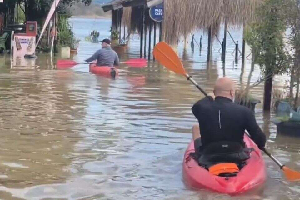 Just before we get swept away: Watch the dramatic rescue of a dog from a busy river in Turkey