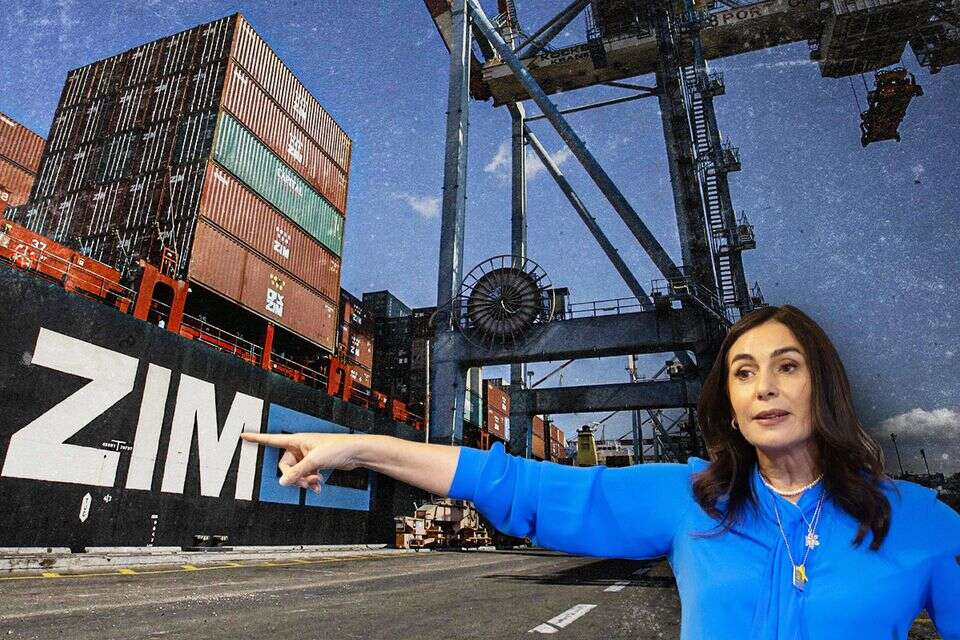 Zim deal: the unusual step of the employees in an attempt to cancel the deal