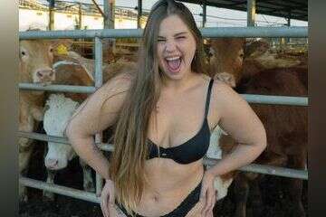 המשפיעניות והפרות: התשובה המוחצת ליעל פוליאקוב