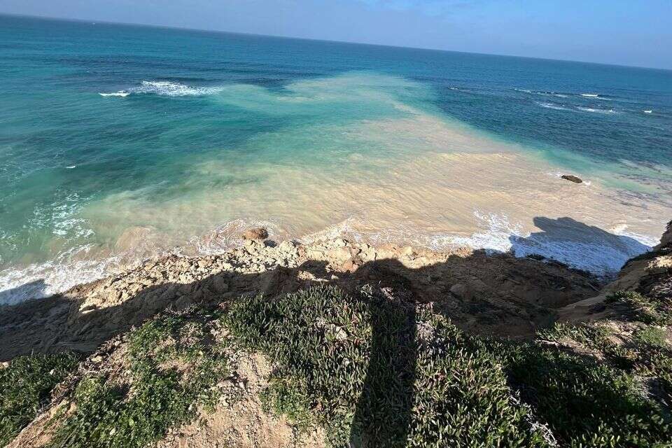 The collapse of the cliff in Sydney Ali: the critic warned - the state did not act