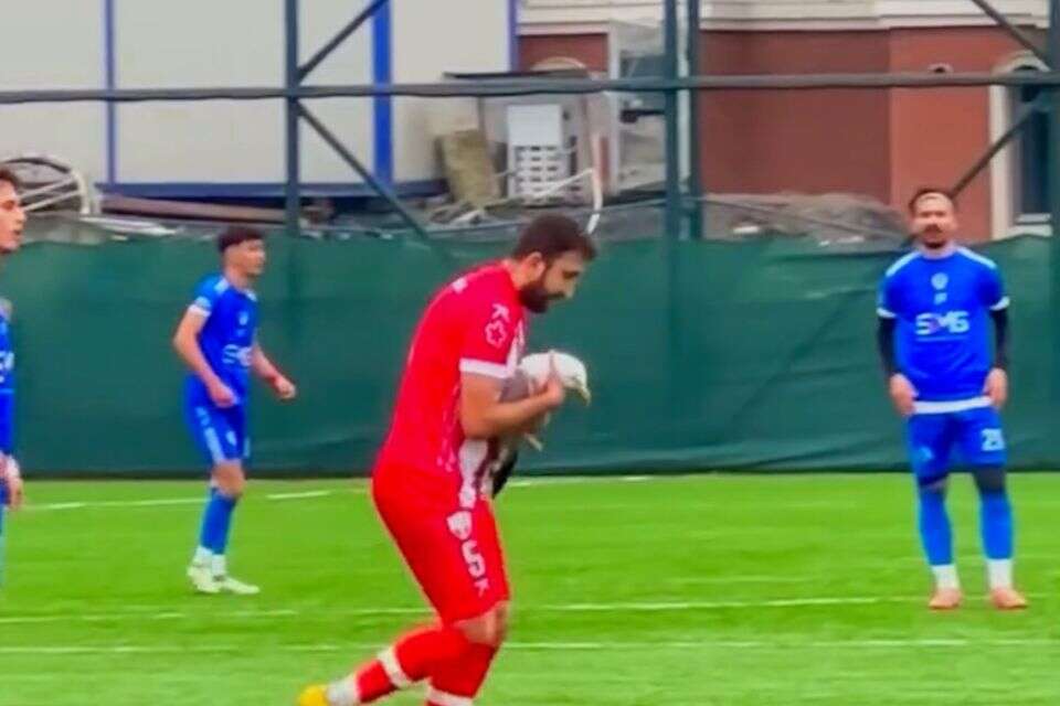 Watch: A soccer player performed CPR on a seagull injured by a goalkeeper's kick