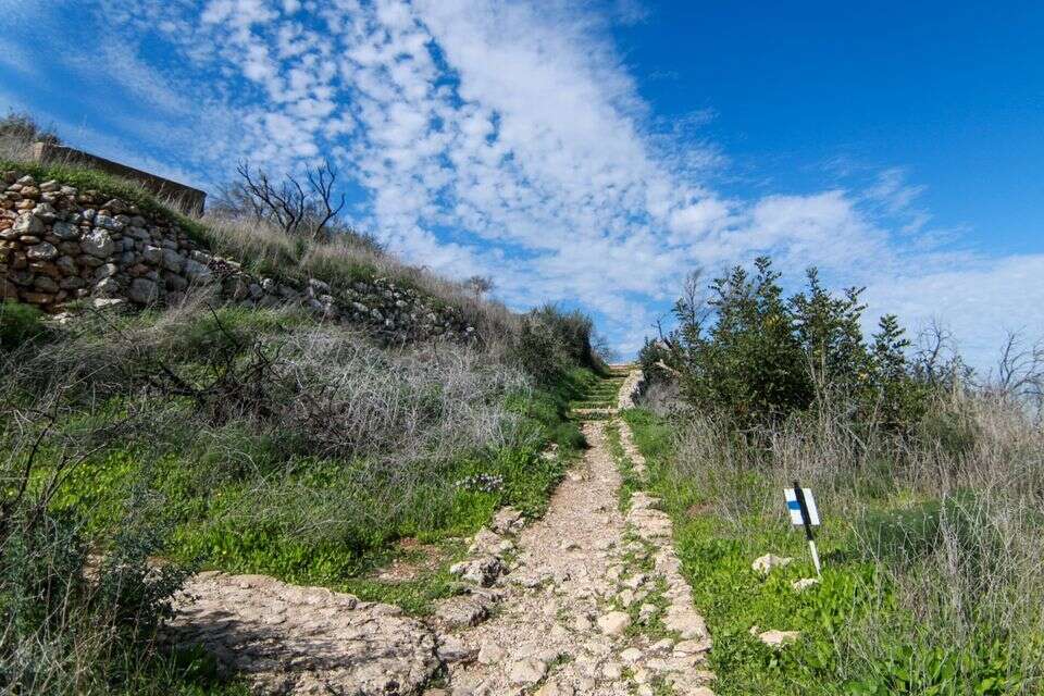 שמורת טבע המסרק , זיו זגורי רשות הטבע והגנים