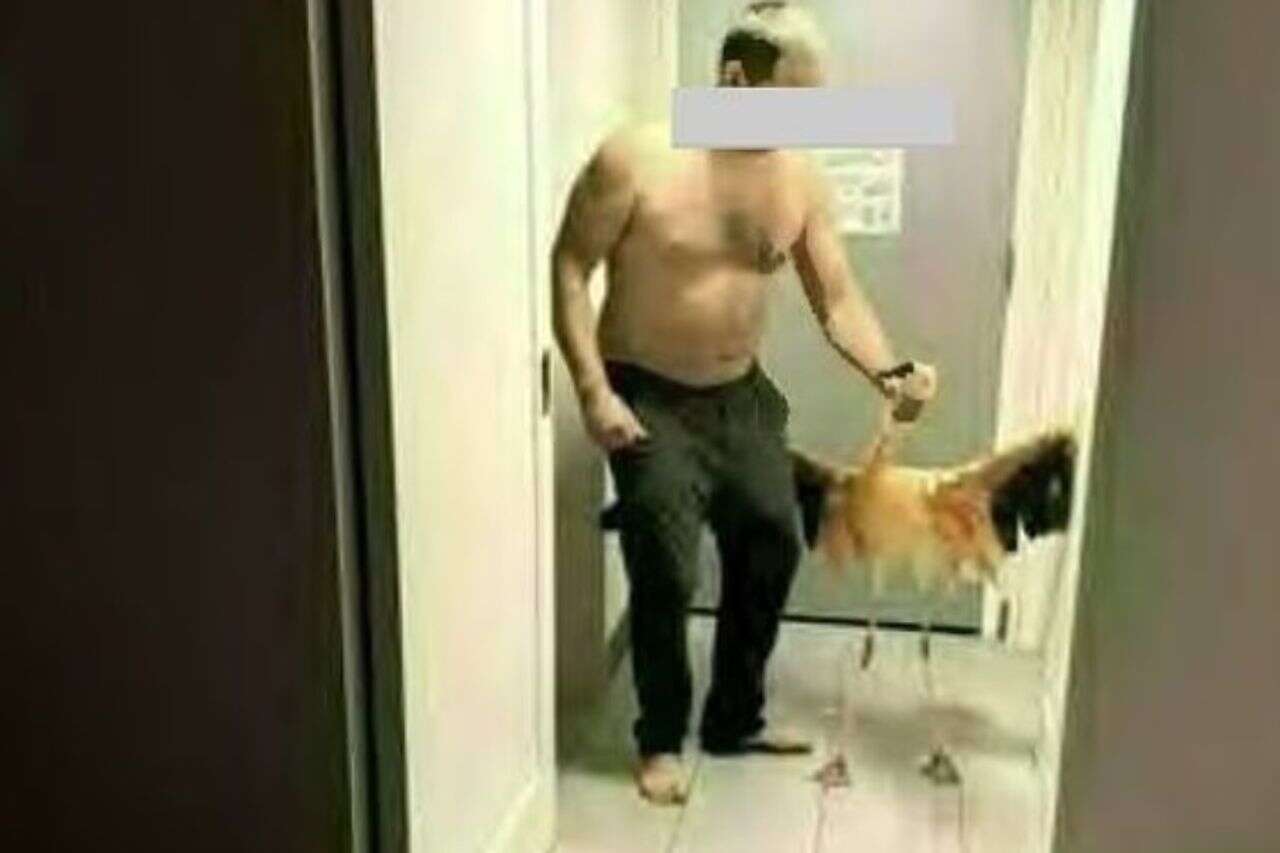 A tourist stole an animal from a hotel in Las Vegas - and everything was recorded on his phone