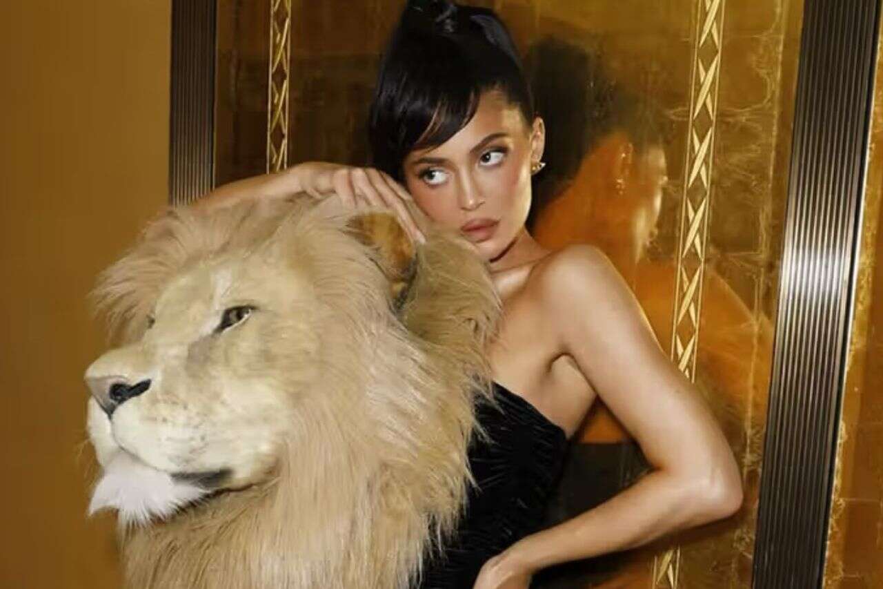 "Harry's Roar": The iconic moment of the lion in fashion - and the Israeli connection