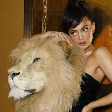 "שאגת הארי": הרגע האייקוני של האריה באופנה - והקשר הישראלי