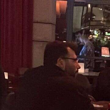 מתאושש? רועי ברקו לא לבד