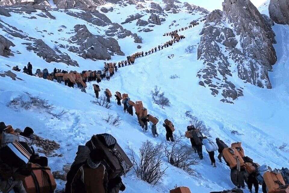 יושבים על הר של זהב, ונלחמים על הזכות ללחם