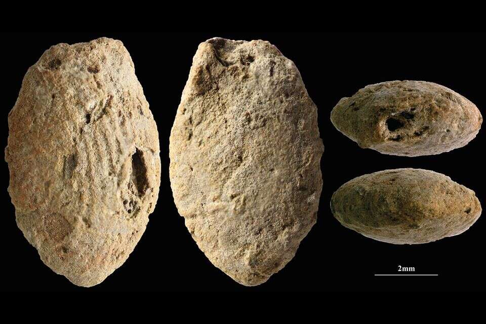 "משנה את ההבנה שלנו": 15 אלף שנים אחרי - התגלית שהיממה את החוקרים