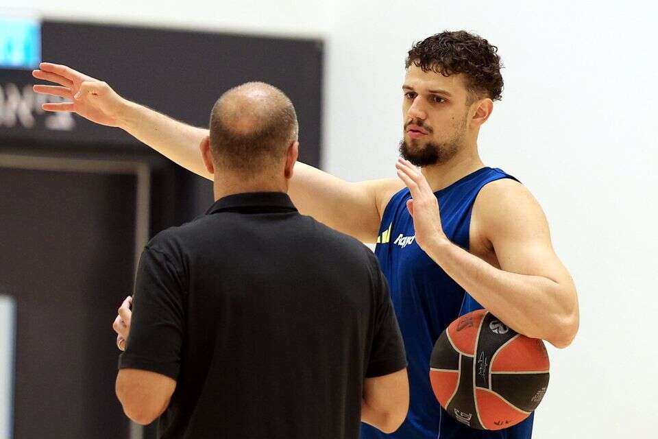 אורוש טריפונוביץ' , אלן שיבר