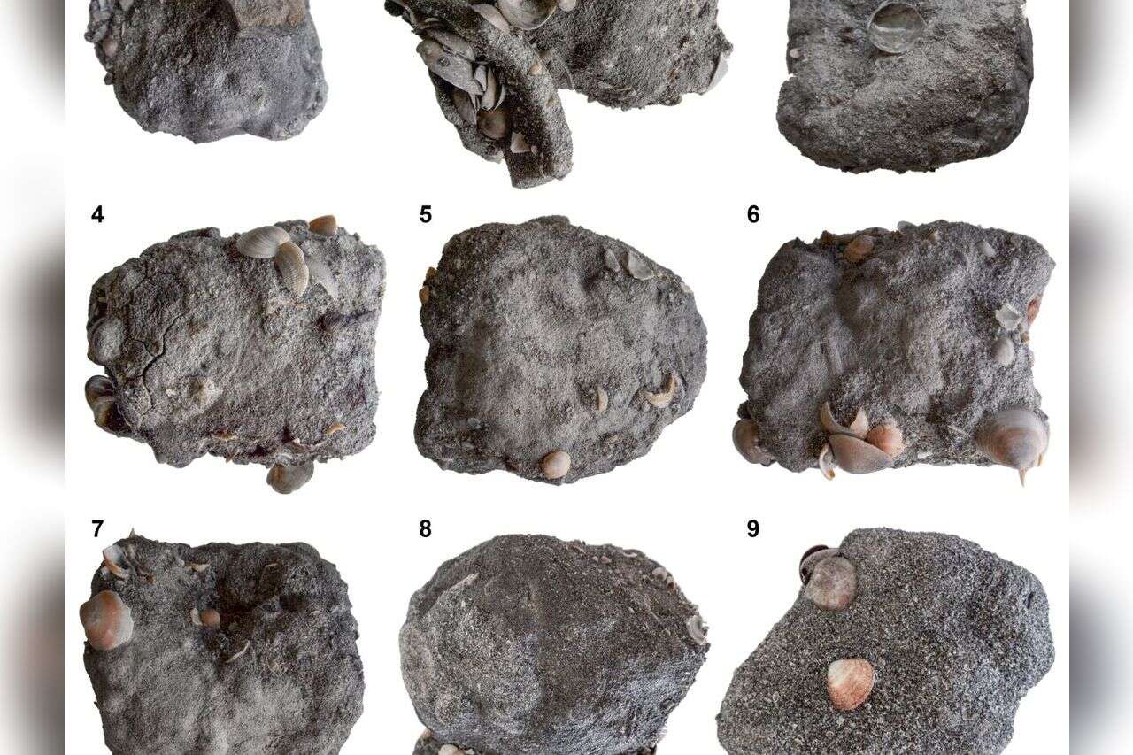 Ancient Iron Shipment Discovered Off Israel’s Coast