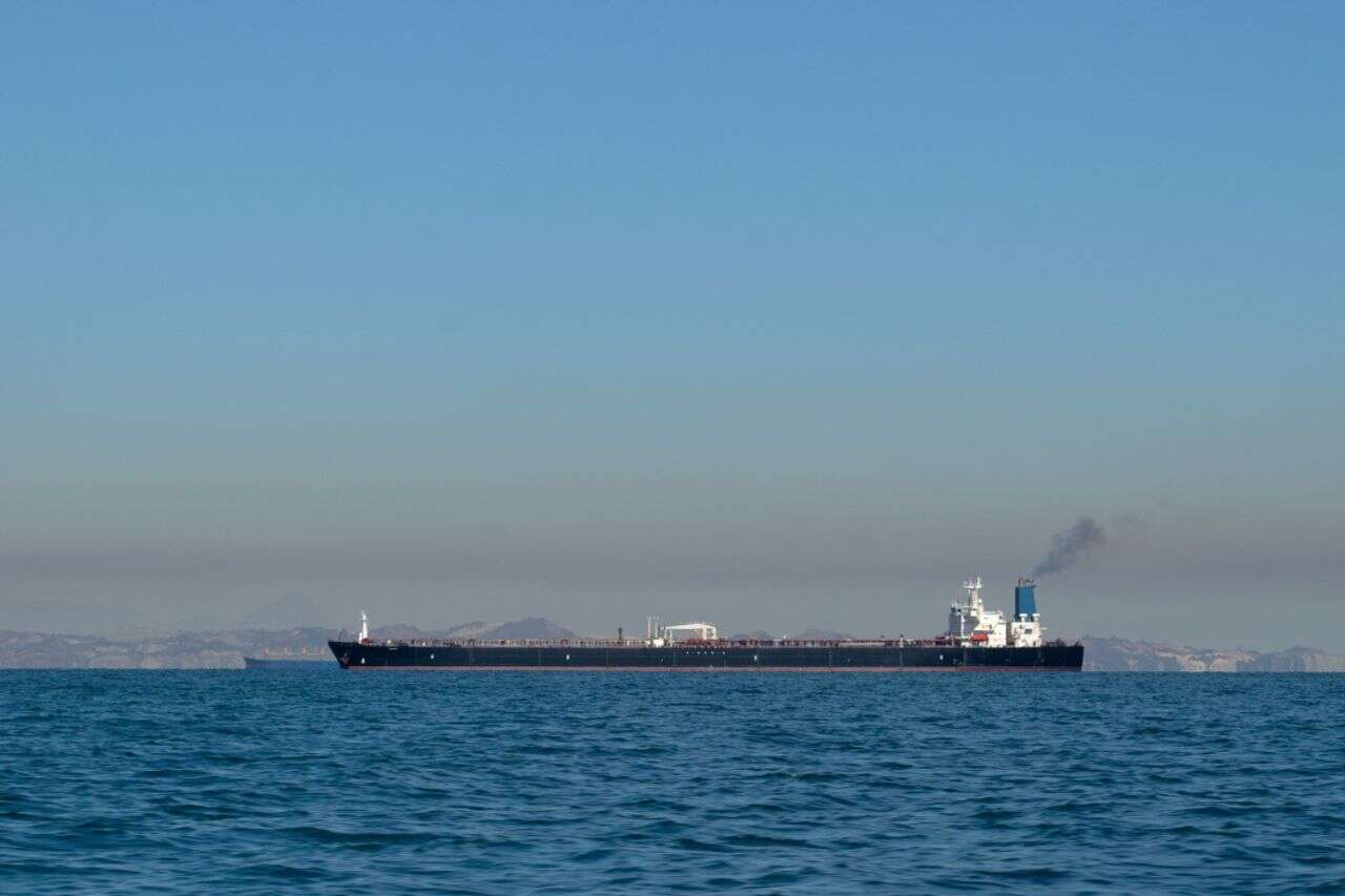 Drones, sonar and trained dolphins: the US demining operation in Hormuz