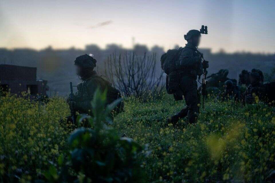 פעילות כוחות צה"ל בדרום לבנון , דובר צה"ל
