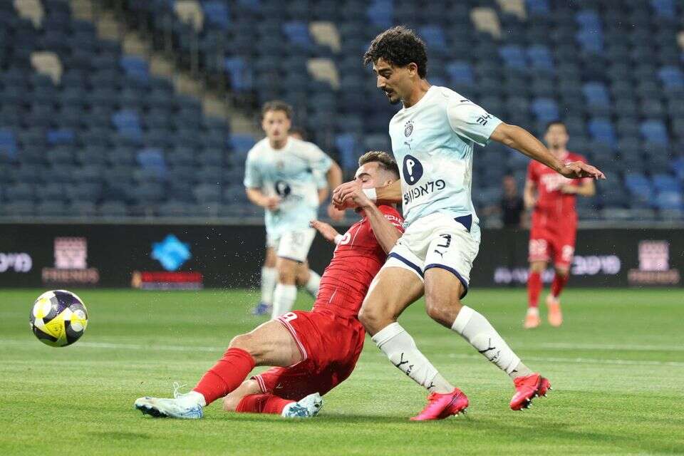 רוי רביבו , אלן שיבר