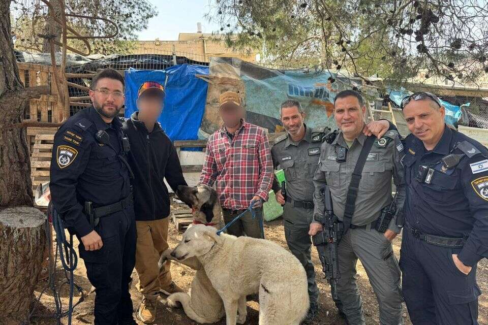הפוסט בפייסבוק שהסגיר את הגנב: כך הושבו הכלבים שנעלמו