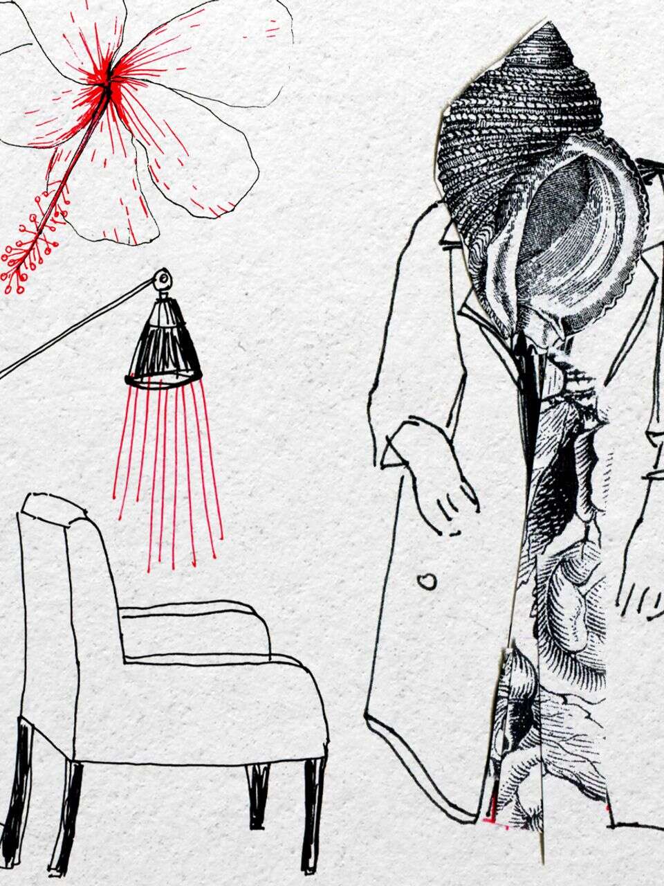 התקופה המושתקת בחיי נשים מפסיקה לשתוק