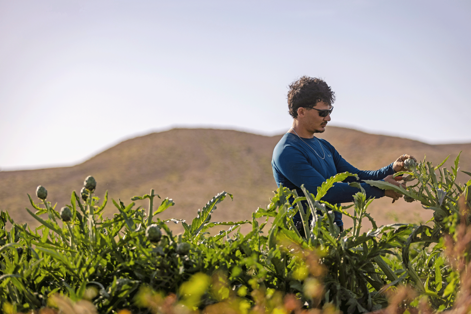 שווה לנסוע כל הדרך לכאן כדי לטעום את הפלא