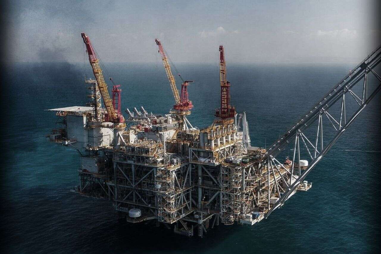 The committee that will decide on Israel's gas exports - and the controversy