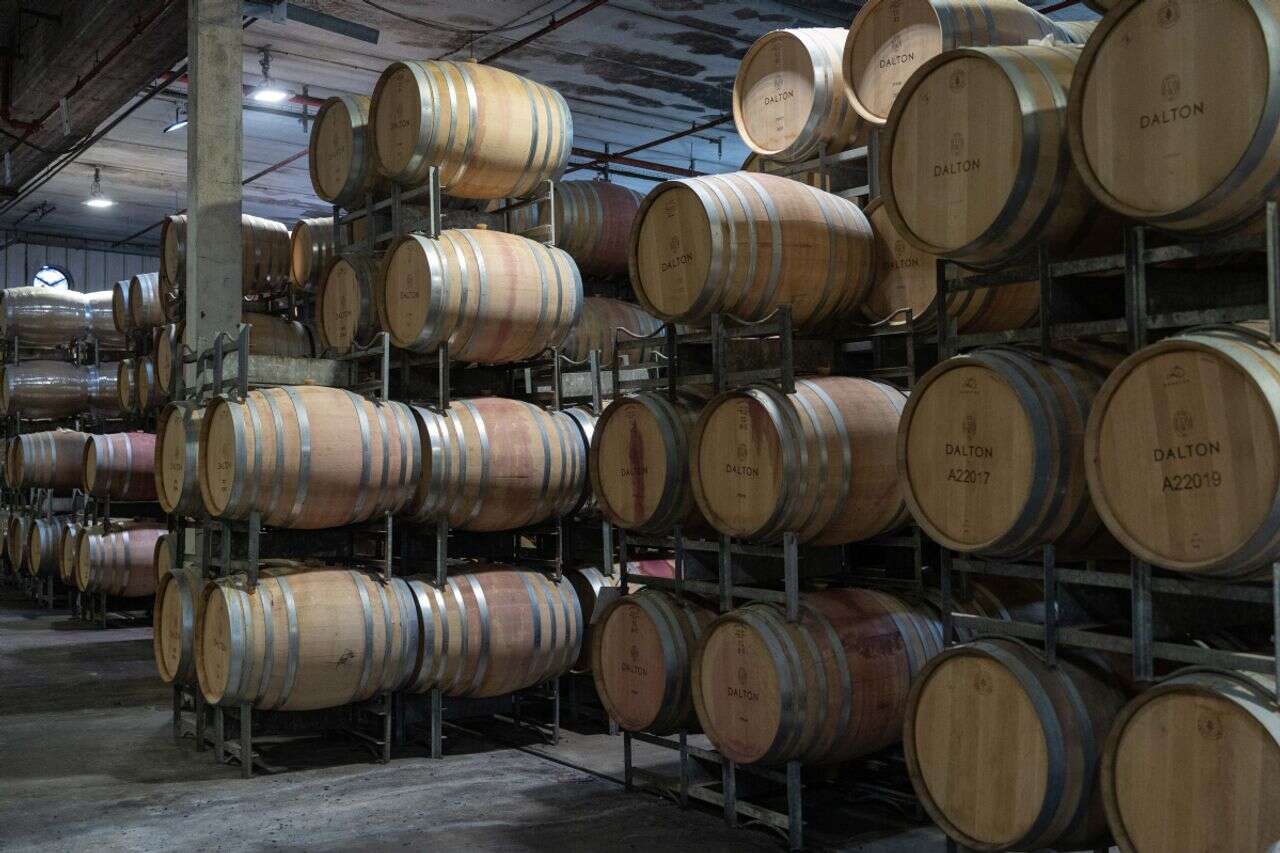 A woman was fired from her job - and caused damage of millions