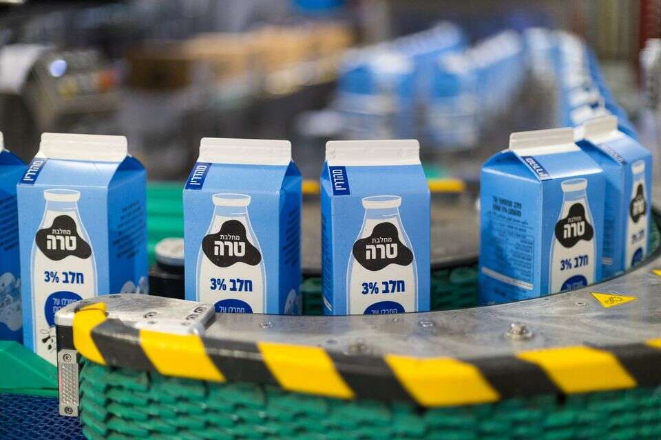 פס יצור חלב , לירון מולדובן