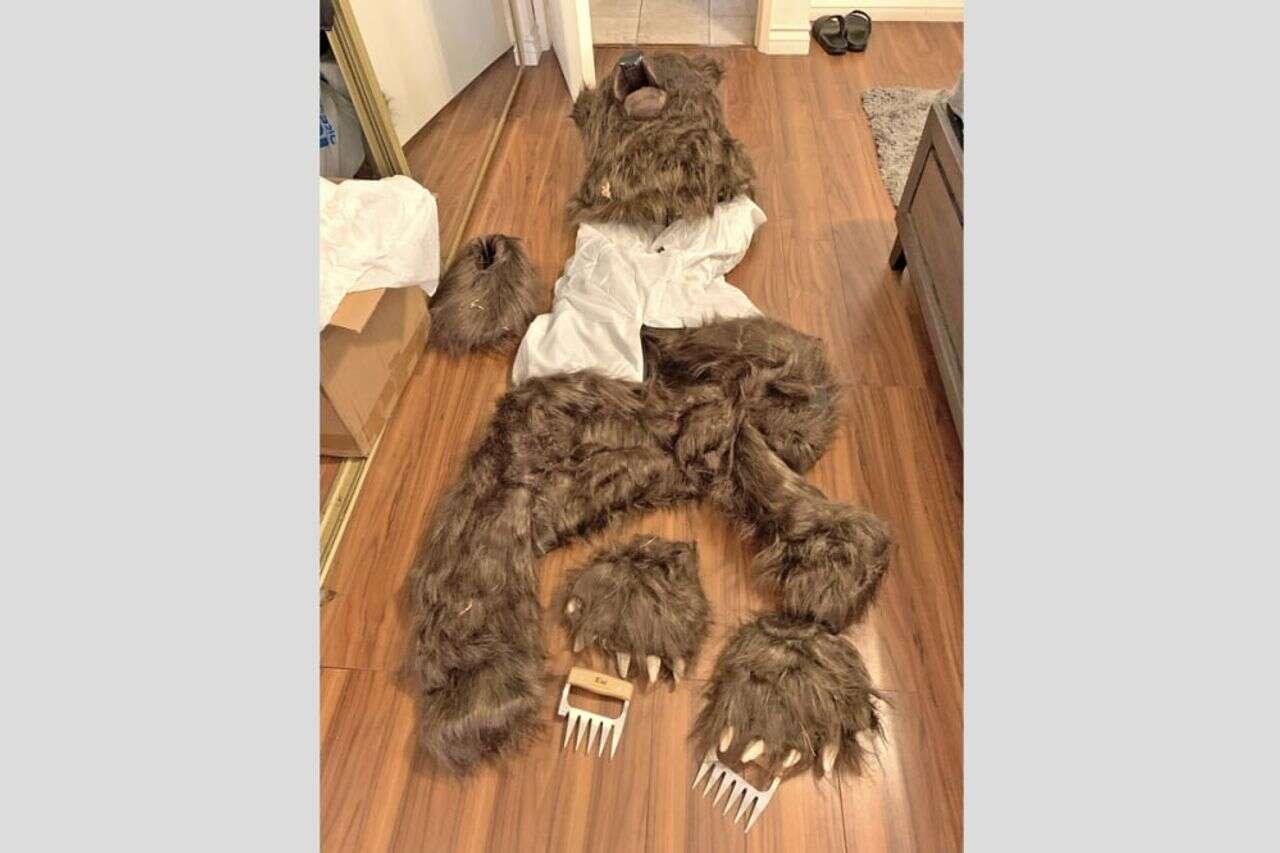 Dress up as a bear, damage luxury cars and be convicted of insurance fraud