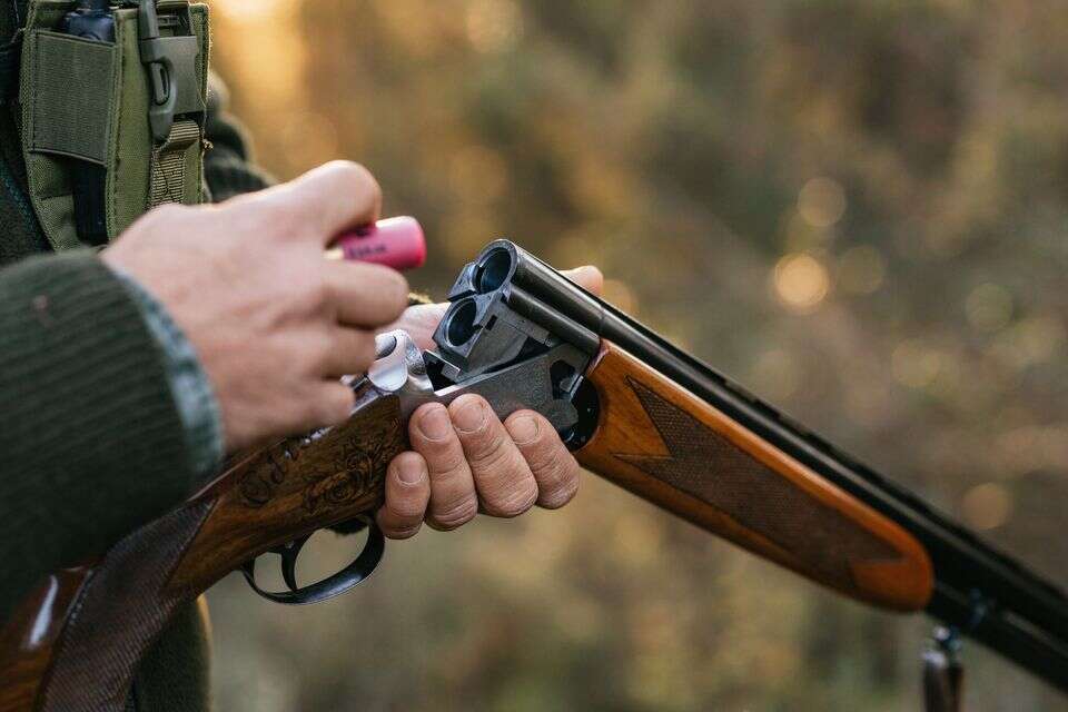 רובה צייד. אילוסטרציה , Gettyimages