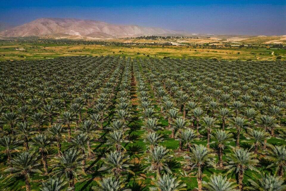 צילום רחפן של עינות קדם , אורן בן חקון