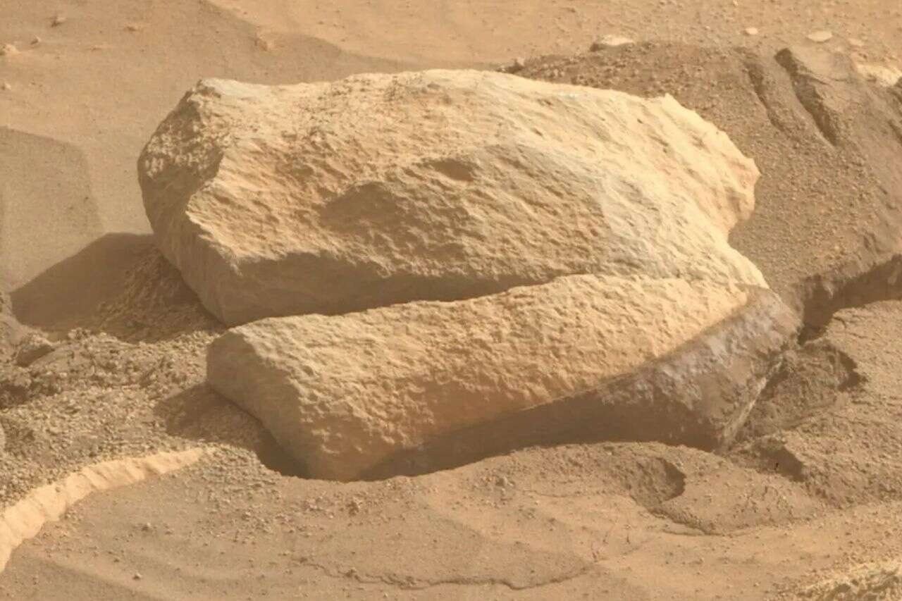 Did we find aliens? The mysterious skull photographed by NASA on Mars