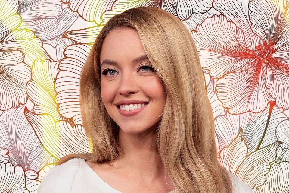 "כמה שילמו לסידני סוויני על ההשפלה הזו?"